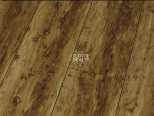 Ламинат Falquon Blue Line Wood 8mm D2272 CANYON OLD BIRCH фото 1 | FLOORDEALER